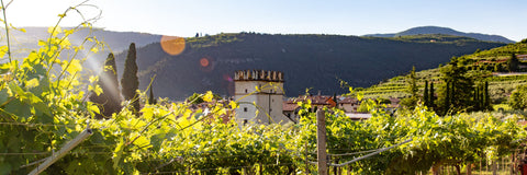 Die besten norditalienischen Weine