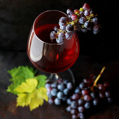 Die besten biologischen & biodynamischen Weine aus der Toskana