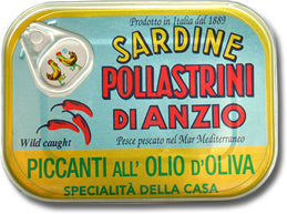 Produktbild für SKU SAPSARD101010SA