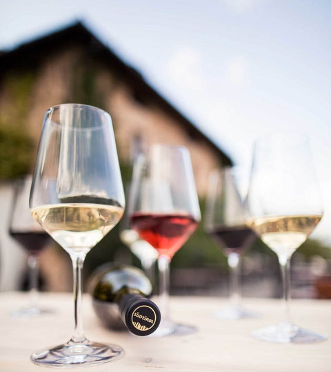 Die besten Weine aus den Bergregionen
