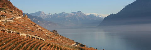 Die besten Weine aus den Alpen