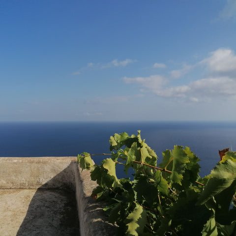 Inselwein: beste Weine mit mehr Meer