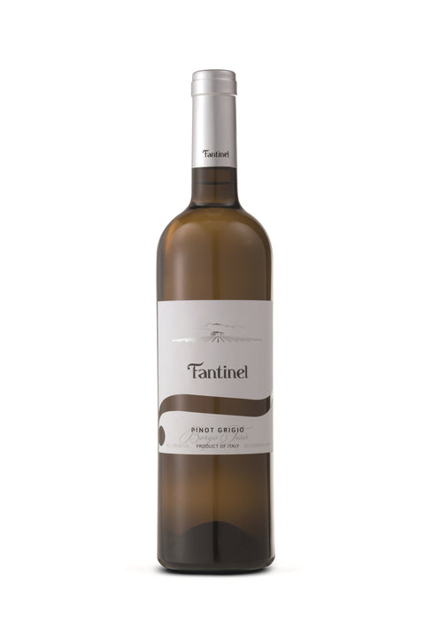 Borgo-Tesis-Pinot-Grigio