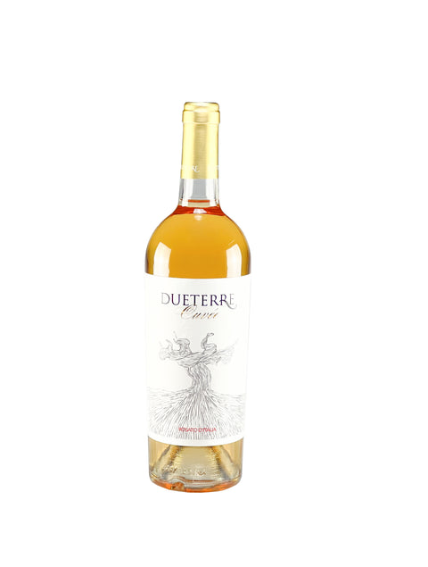 0,75l ROSATO - "DUE TERRE"
