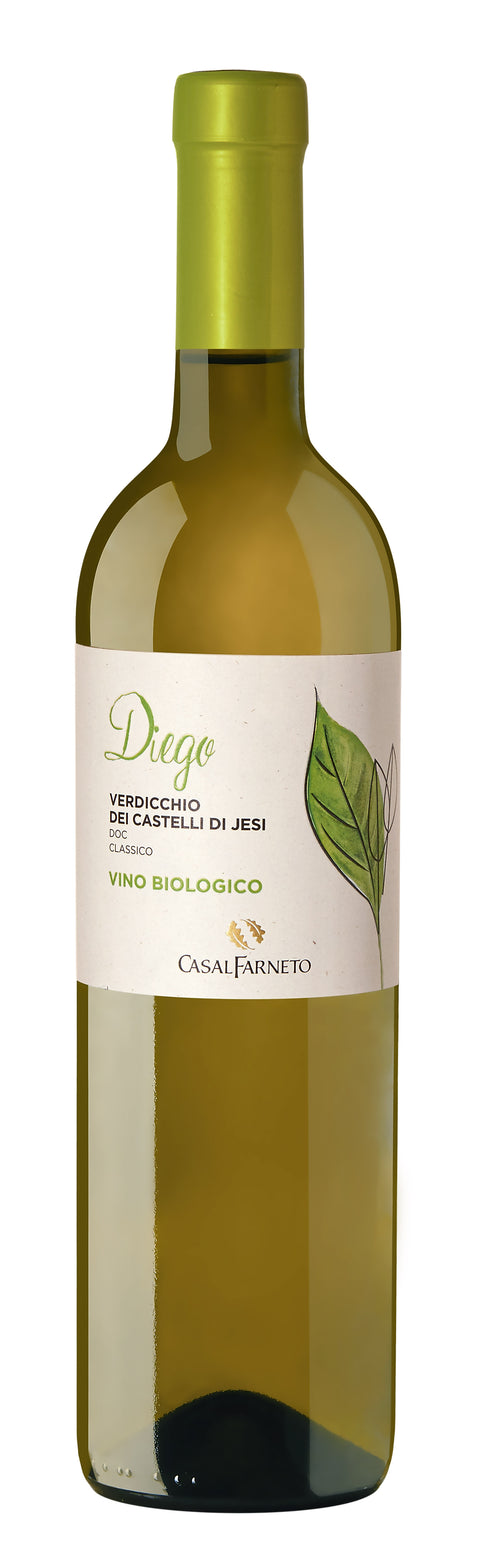 Diego-Verdicchio-BIO