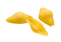 Matt-Monograno-CONCHIGLIONI-189-prodotto