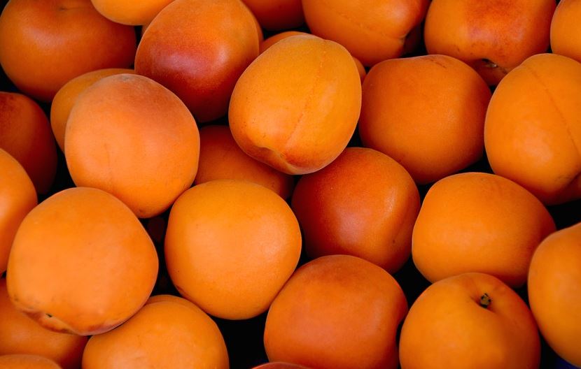 aprikose