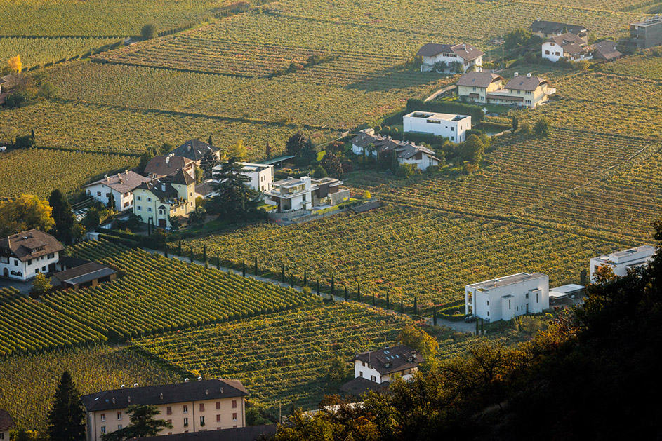 2_Lagrein-vineyards